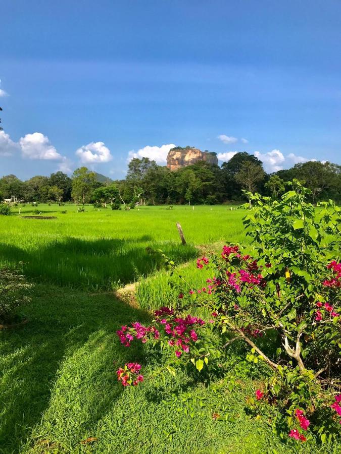 Castle View Sigiriya Hotel Kültér fotó
