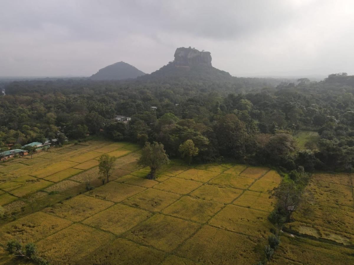 Castle View Sigiriya Hotel Kültér fotó